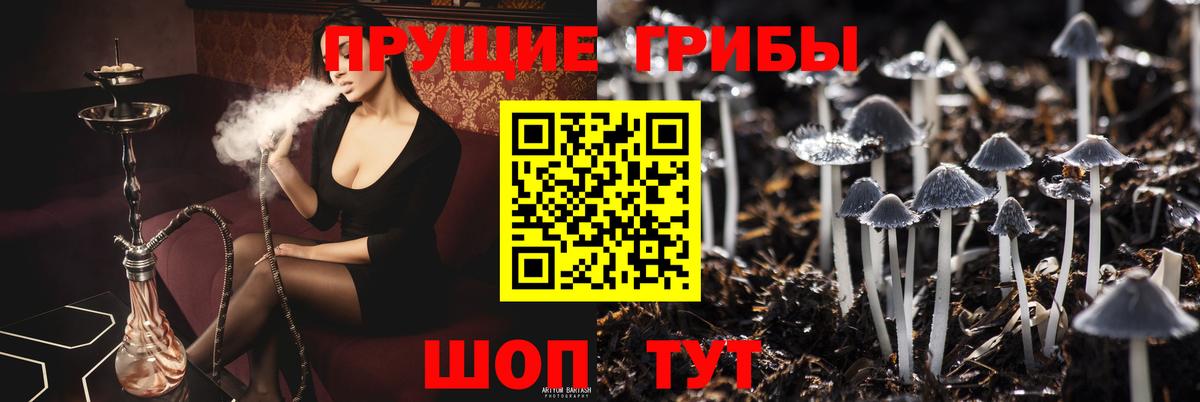 Ртищево  Псилоцибиновые грибы GOLDEN TEACHER  Вход с VPN 